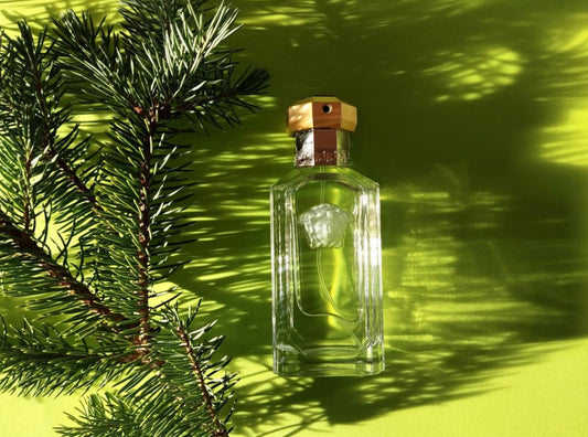 Versace “The Dreamer” Men's EDT(100ml)