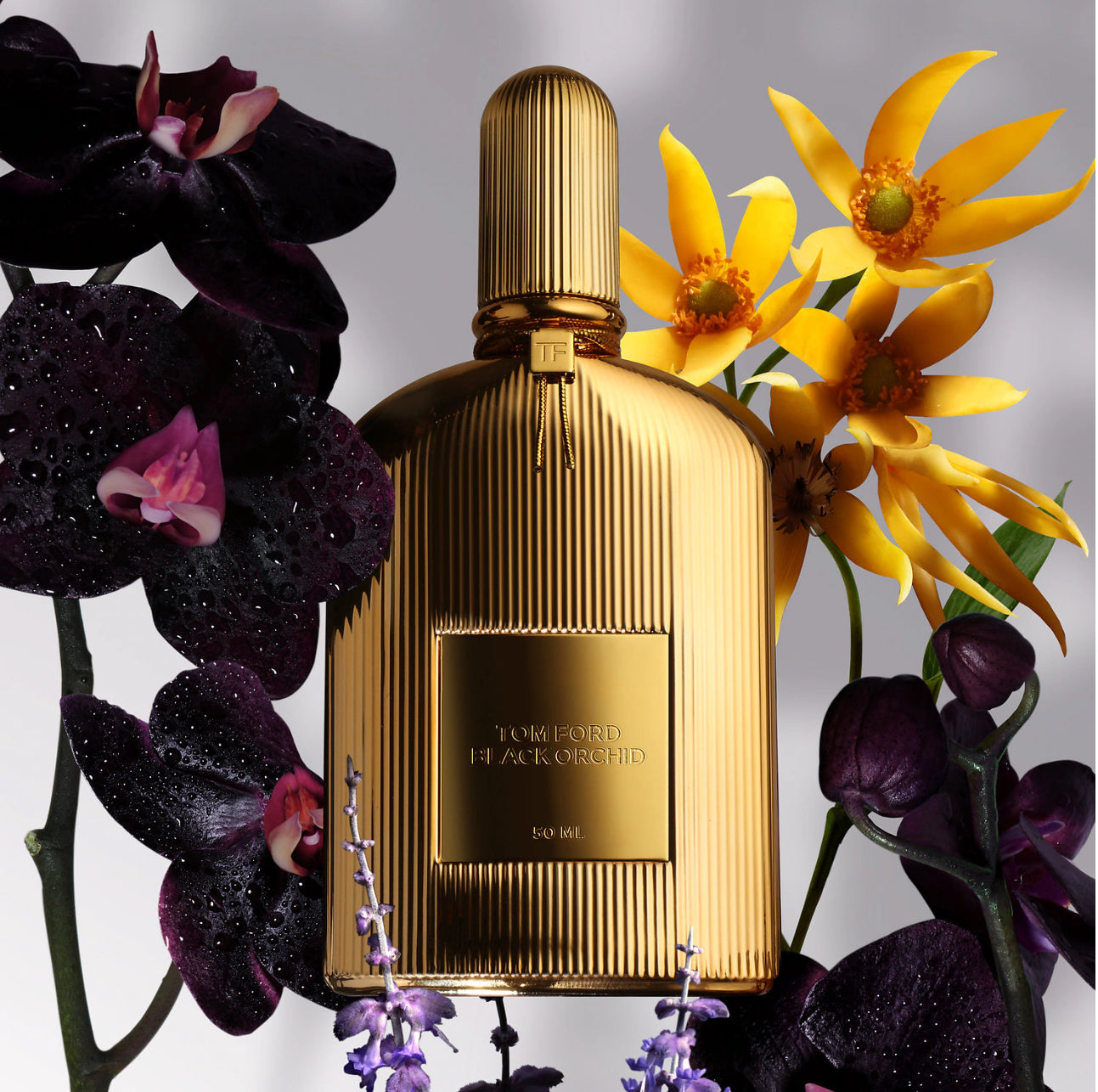 Tom Ford Women's Black Orchid EDP (50 ml)